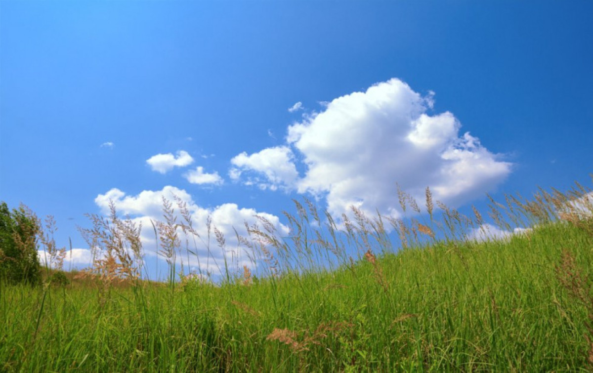  иллюстративное