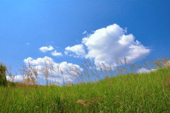 Фотография к новости: Ясная погода ожидается на большей территории РК 24 августа  