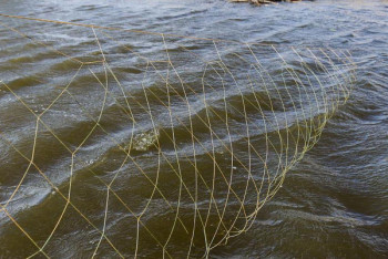 Фотография к новости: Около 400 км рыбацких сетей обнаружили в реках Казахстана