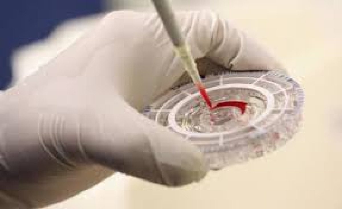  иллюстративное 