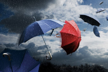 Фотография к новости: Гроза и шквалистый ветер ожидаются в трех регионах Казахстана в пятницу