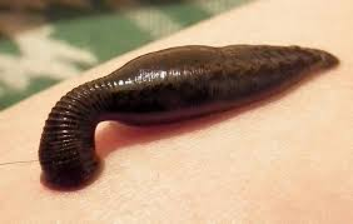  иллюстративное 