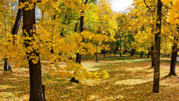 Фотография к новости: Каким будет сентябрь в Казахстане, рассказали синоптики