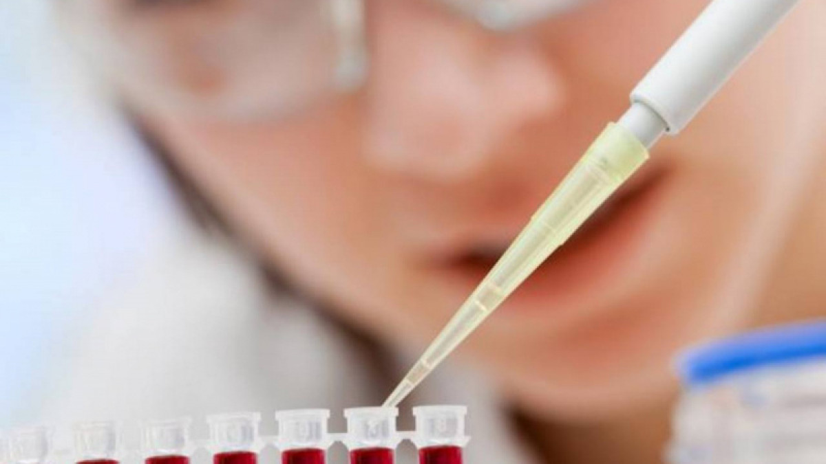  recetasparaadelgazar.com