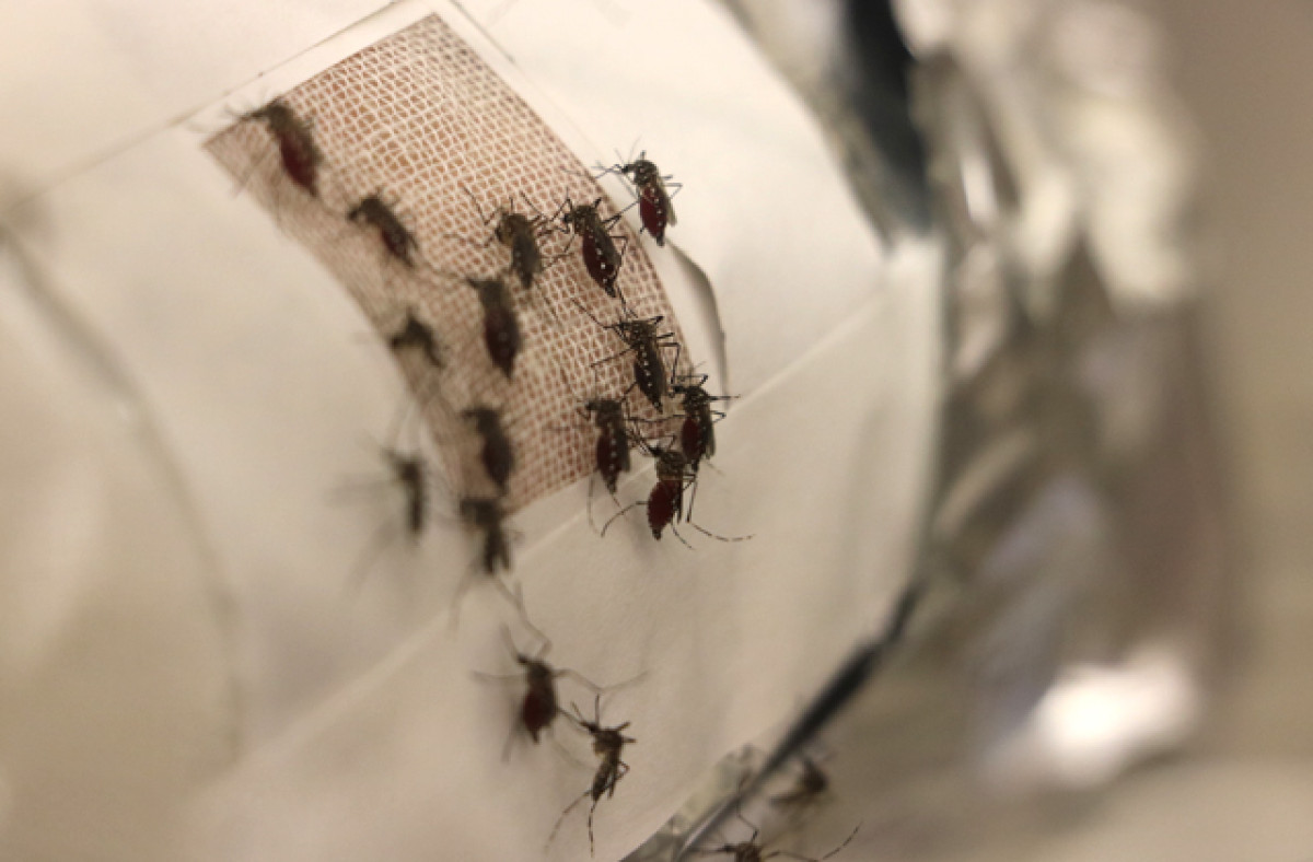  Фото: moya-planeta.ru