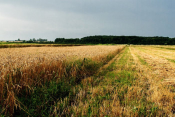 Фотография к новости:  Более 2 млн га сельхозземель оказались неиспользуемыми в Казахстане