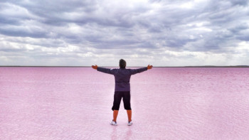 Фотография к новости: Озеро окрасилось в ярко-розовый цвет в Акмолинской области