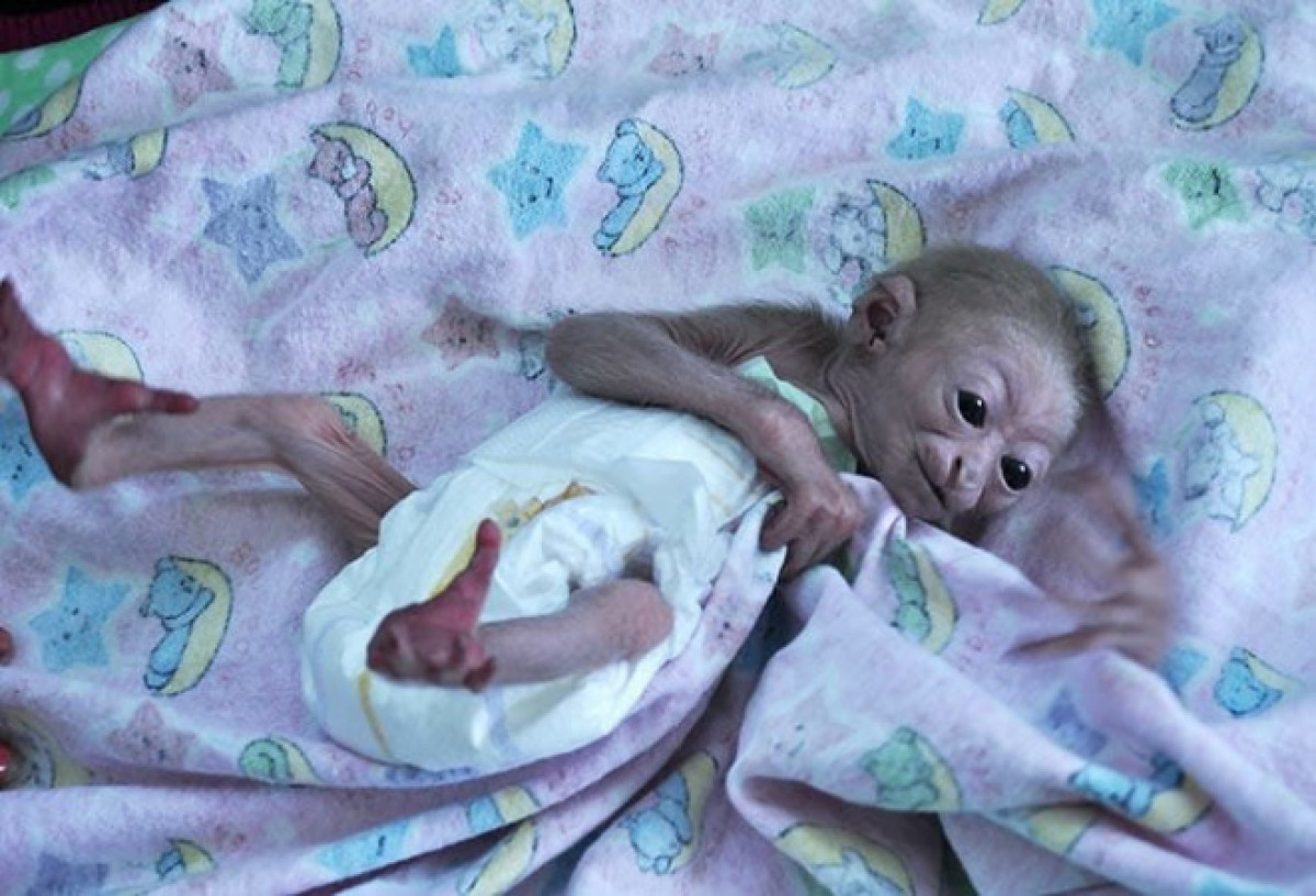  пресс-служба алматинского зоопарка