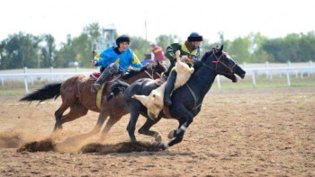 Фотография к новости: Устроивших кокпар в селе Алматинской области наказали штрафом