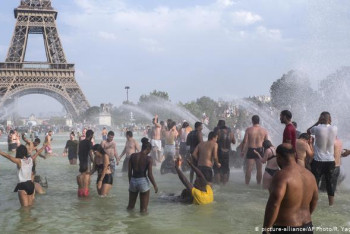 Фотография к новости: Из-за аномальной жары во Франции умерли 1500 человек