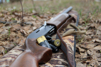 Фотография к новости: Браконьерство приравняют к категории тяжких преступлений