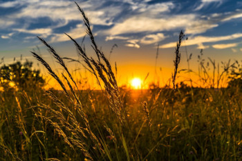 Фотография к новости: Погода без осадков ожидается почти по всему Казахстану 12 сентября 