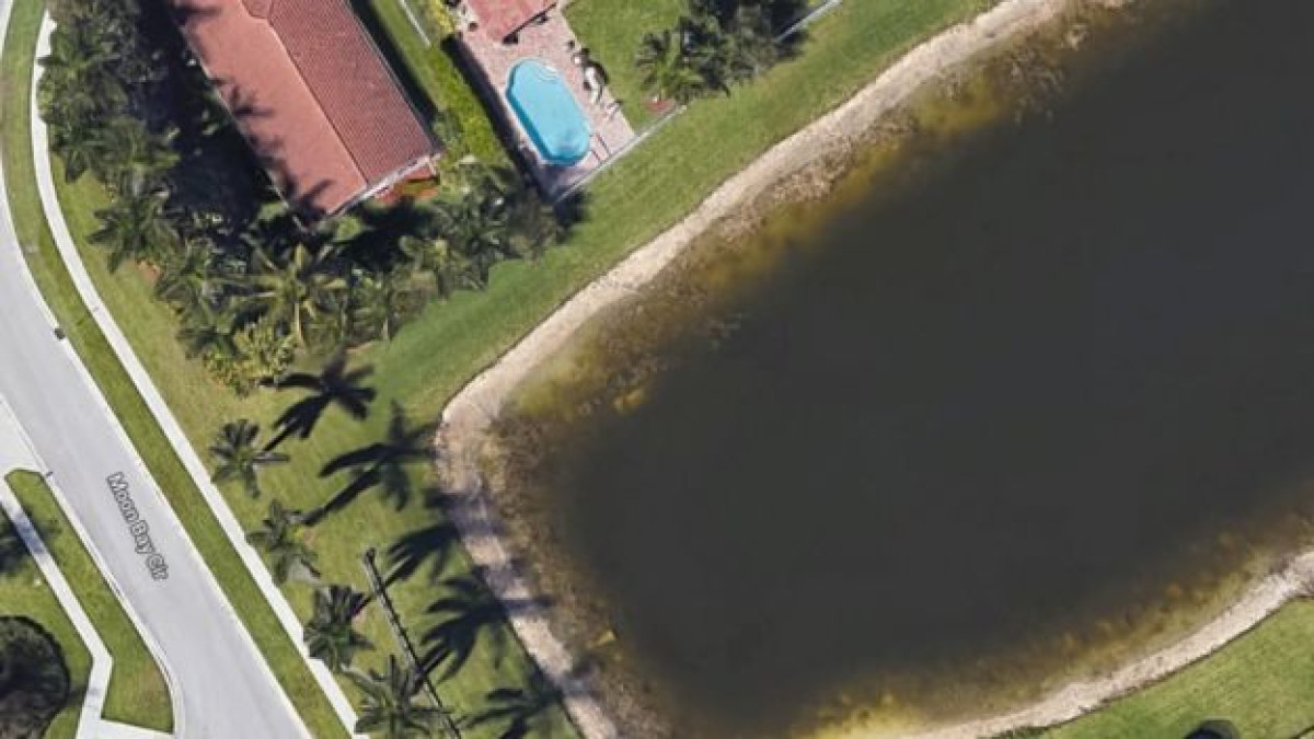  Фото: bbc.com