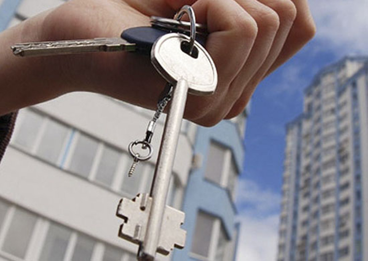  Фото: tvzvezda.ru