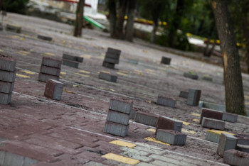 Фотография к новости: Алматинке грозит уголовная ответственность за фейк о демонтаже брусчатки ради митинга