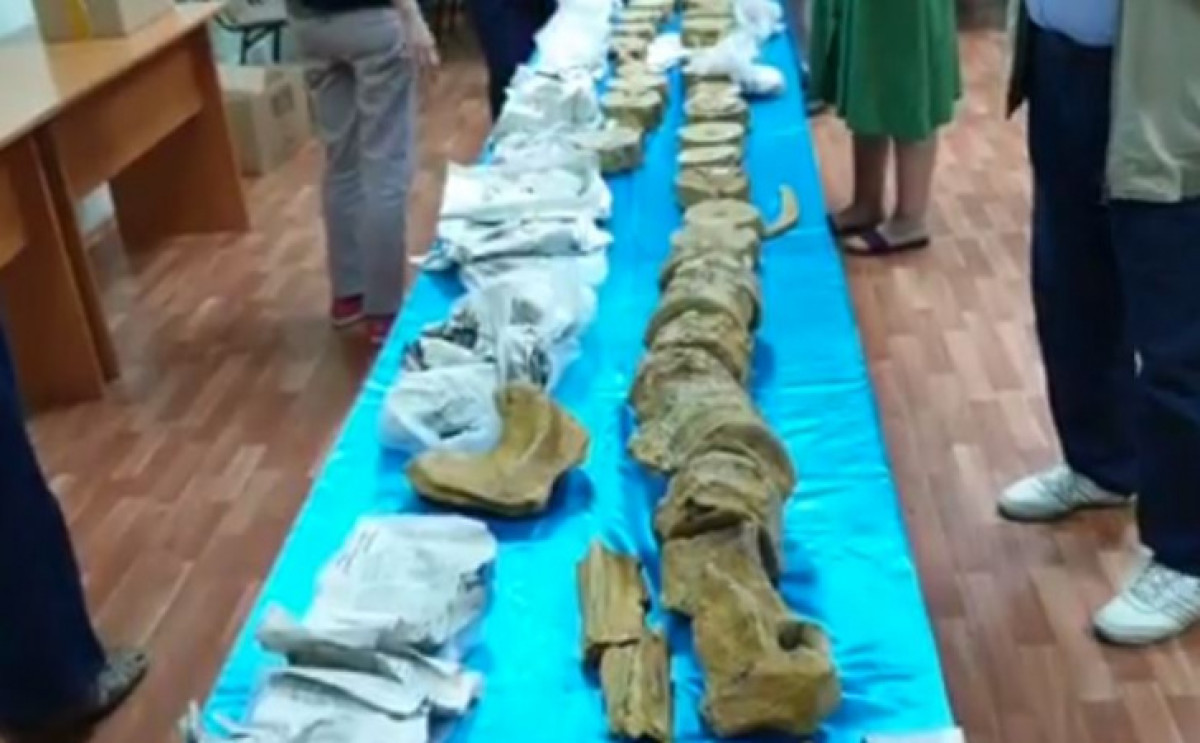  скриншот с видео