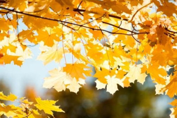 Фотография к новости: Неустойчивую погоду прогнозируют синоптики в Казахстане