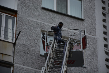 Фотография к новости: В конфликт с выгулом собаки без намордника в Петропавловске пришлось вмешаться спецназу