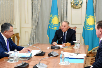 Фотография к новости: Елбасы принял заместителя председателя АНК Жансеита Туймебаева