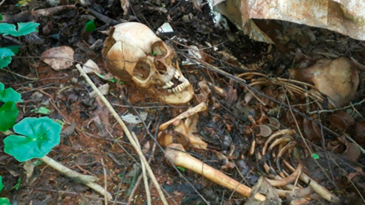  иллюстративное 