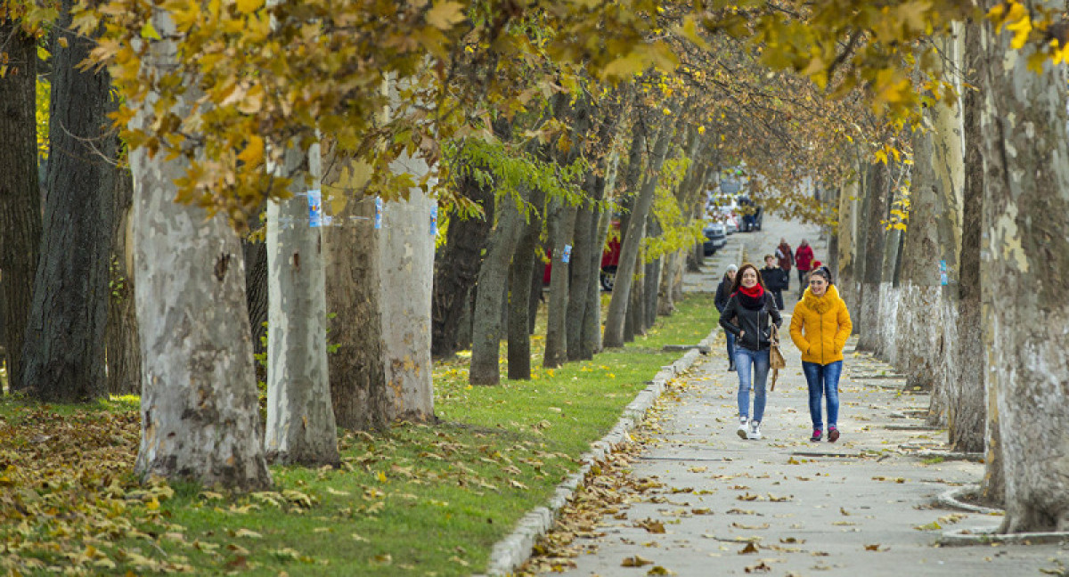  иллюстративное 