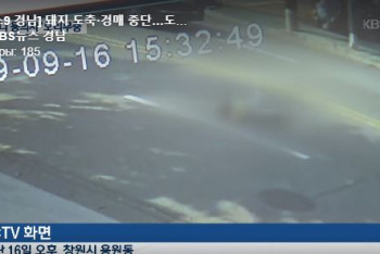 Фотография к новости: МВД РК ищет казахстанца, сбившего ребенка в Южной Корее