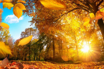 Фотография к новости: Жара до 38 градусов ожидается в выходные в Казахстане