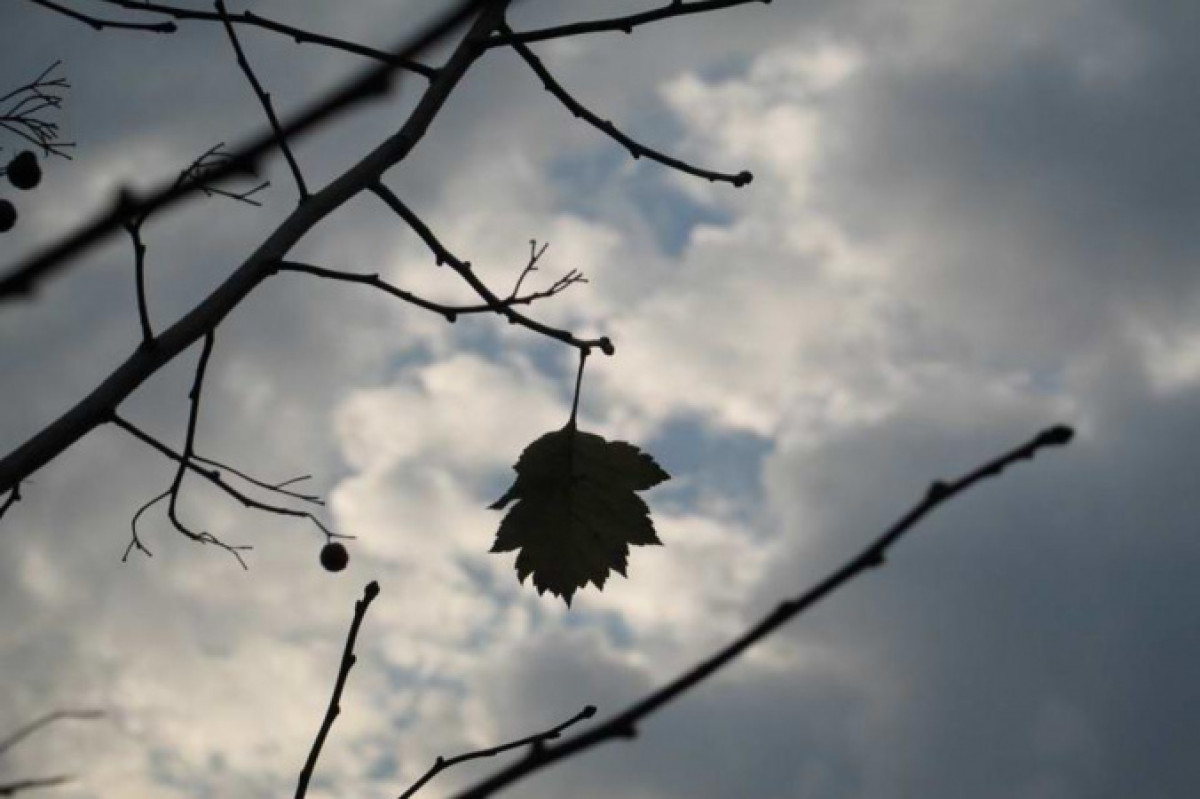  иллюстративное