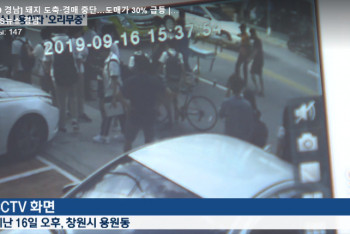 Фотография к новости: Казахстанец сбил ребенка в Южной Корее и скрылся: министерство юстиции может применить дипломатические меры