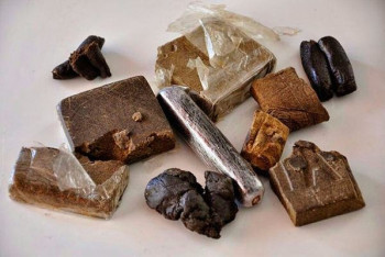 Фотография к новости: В Алматинской области задержан наркоторговец, развозивший гашиш на велосипеде