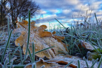 Фотография к новости: В семи областях Казахстана ожидаются заморозки