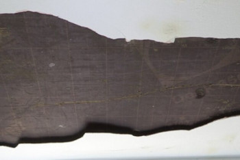 Фотография к новости: Жители из старого дома отказываются переселяться в разваливающийся новый в Туркестанской области