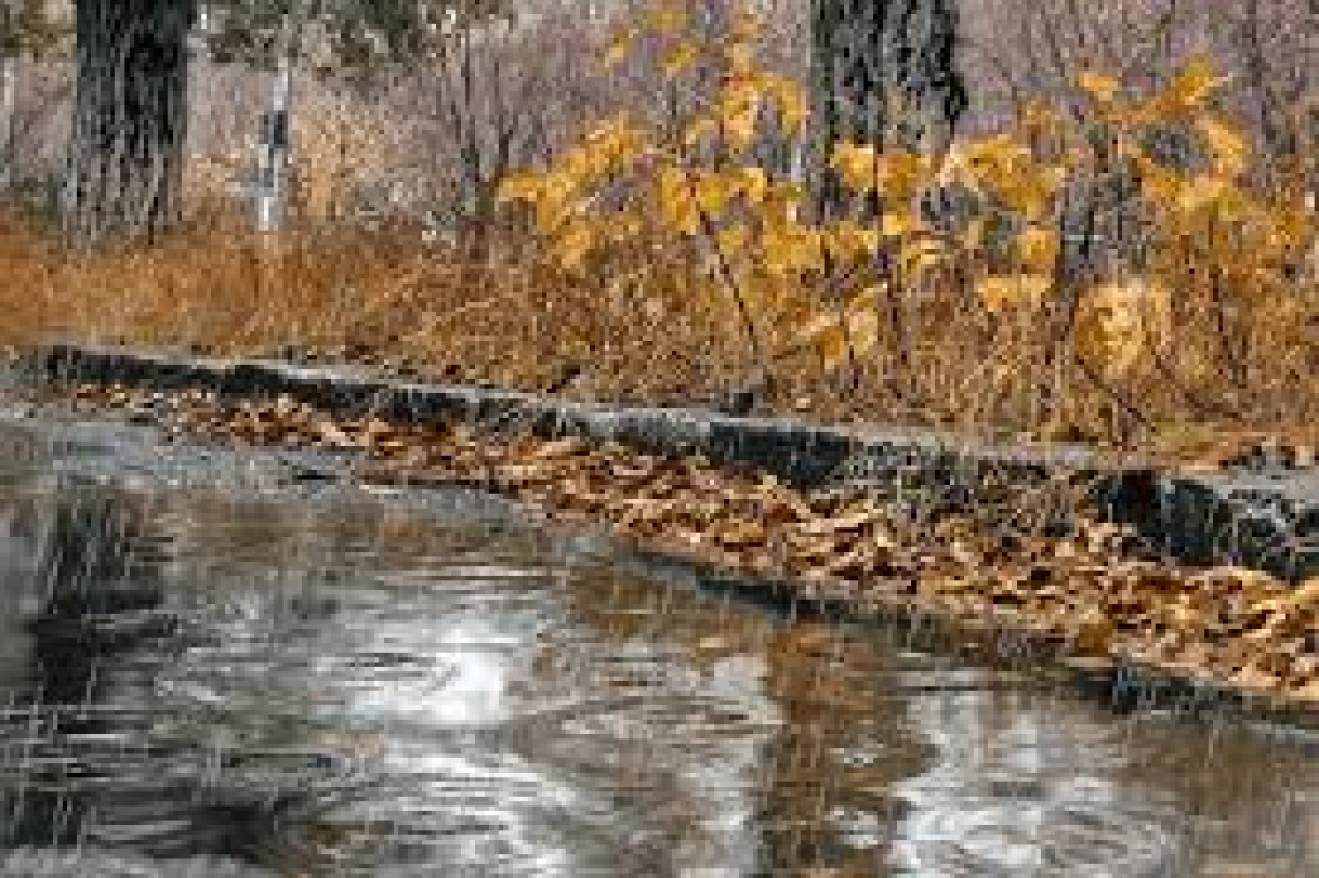  иллюстративное 