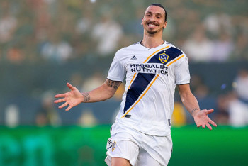 Фотография к новости: Златан Ибрагимович бросил вызов Хабибу Нурмагомедову  