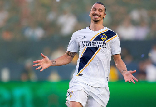 Фотография к новости: Златан Ибрагимович бросил вызов Хабибу Нурмагомедову  