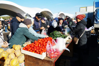Фотография к новости: Около 500 тонн продукции привезли на ярмарку в Нур-Султан из ВКО и Атырауской области 