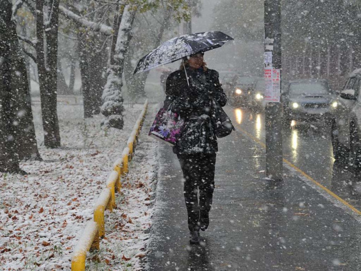  иллюстративное 