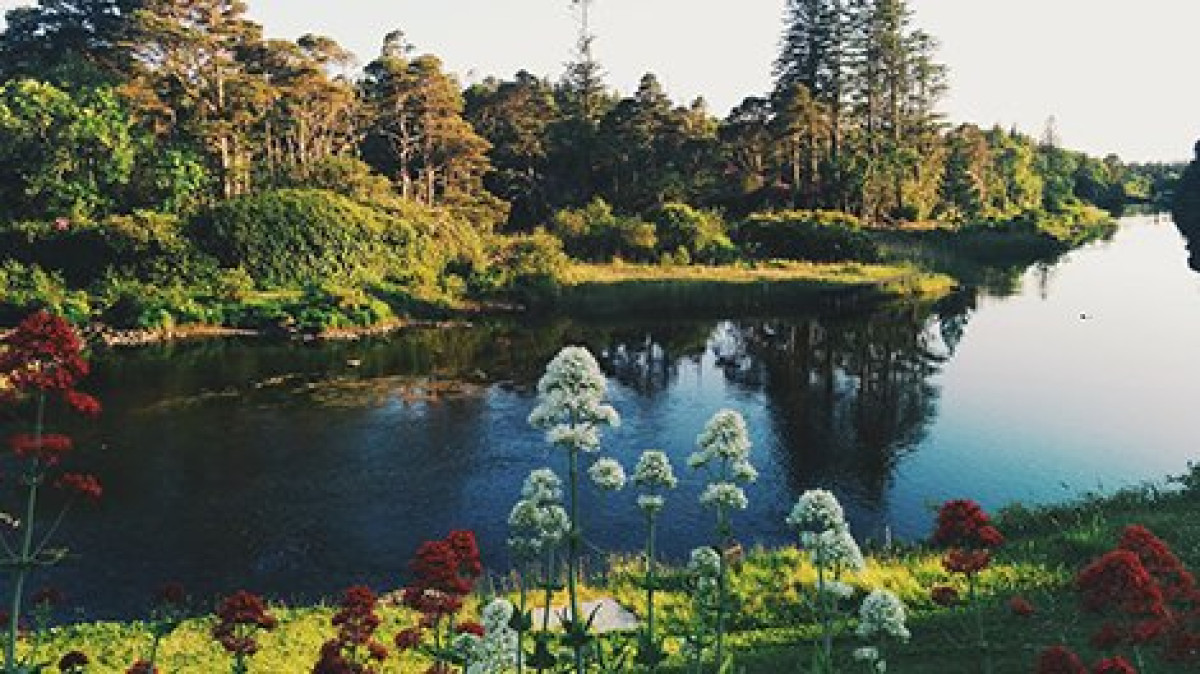  thinkinghumanity.com