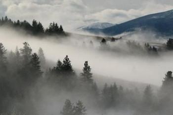 Фотография к новости: Туман и дождь с грозой ожидаются 1 октября в Казахстане