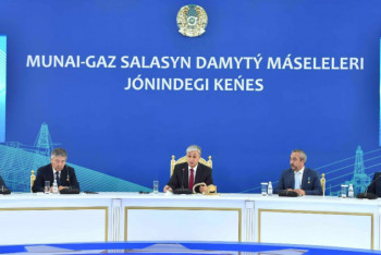 Фотография к новости: Президент поручил разработать программу геологоразведки с учетом мирового спроса