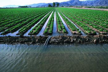 Фотография к новости: Увеличить количество орошаемых земель поручил Глава государства