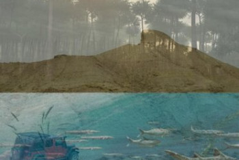 Фотография к новости: Палеонтолог-любитель нашел видимую границу между морем и берегом Юрского периода в Мангистау