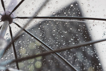 Фотография к новости: Умеренное тепло и дожди прогнозируются в Казахстане на выходные