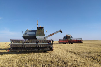 Фотография к новости: Государство окажет помощь пострадавшим от засухи костанайским аграриям