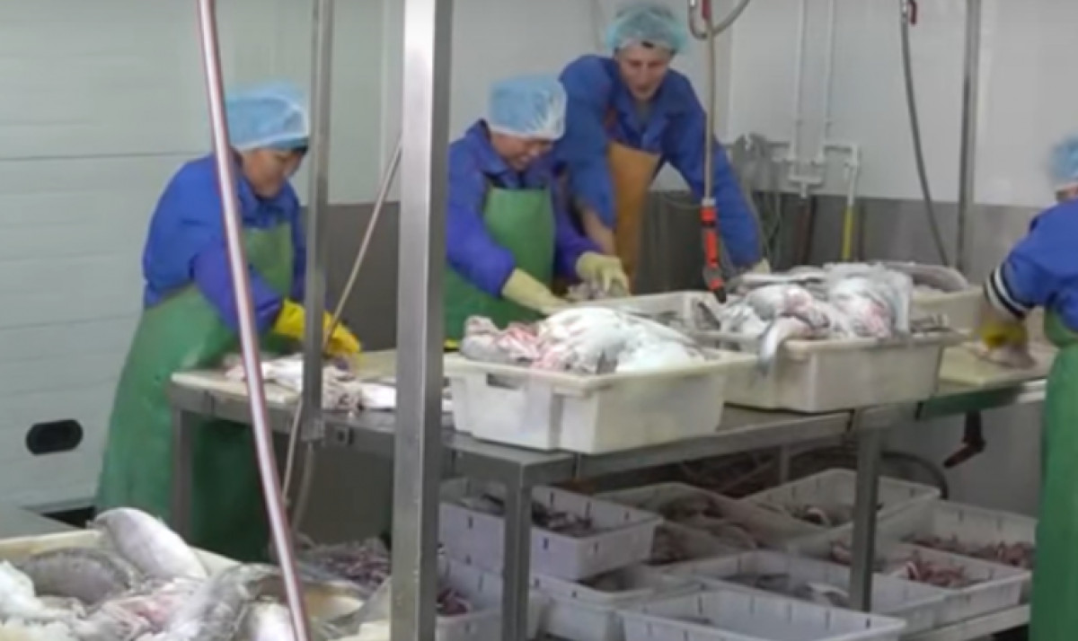  скрин с сюжета 24.kz