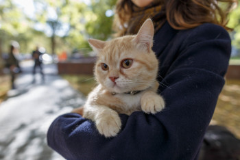 Фотография к новости: Истории астанчан о том, как они приютили животных