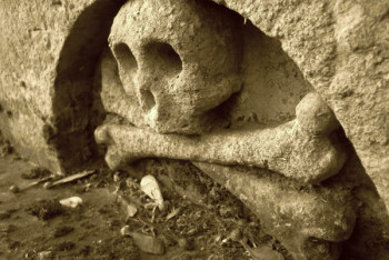 Фотография к новости: Мужчина пролежал мертвым 8 лет в квартире с собакой