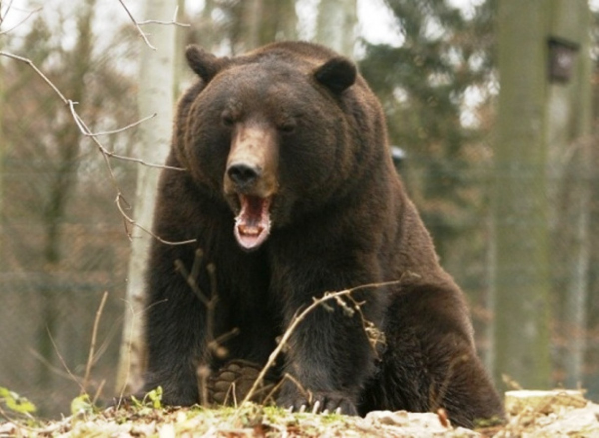  иллюстративное