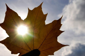 Фотография к новости: Погода без осадков сохраняется в Казахстане