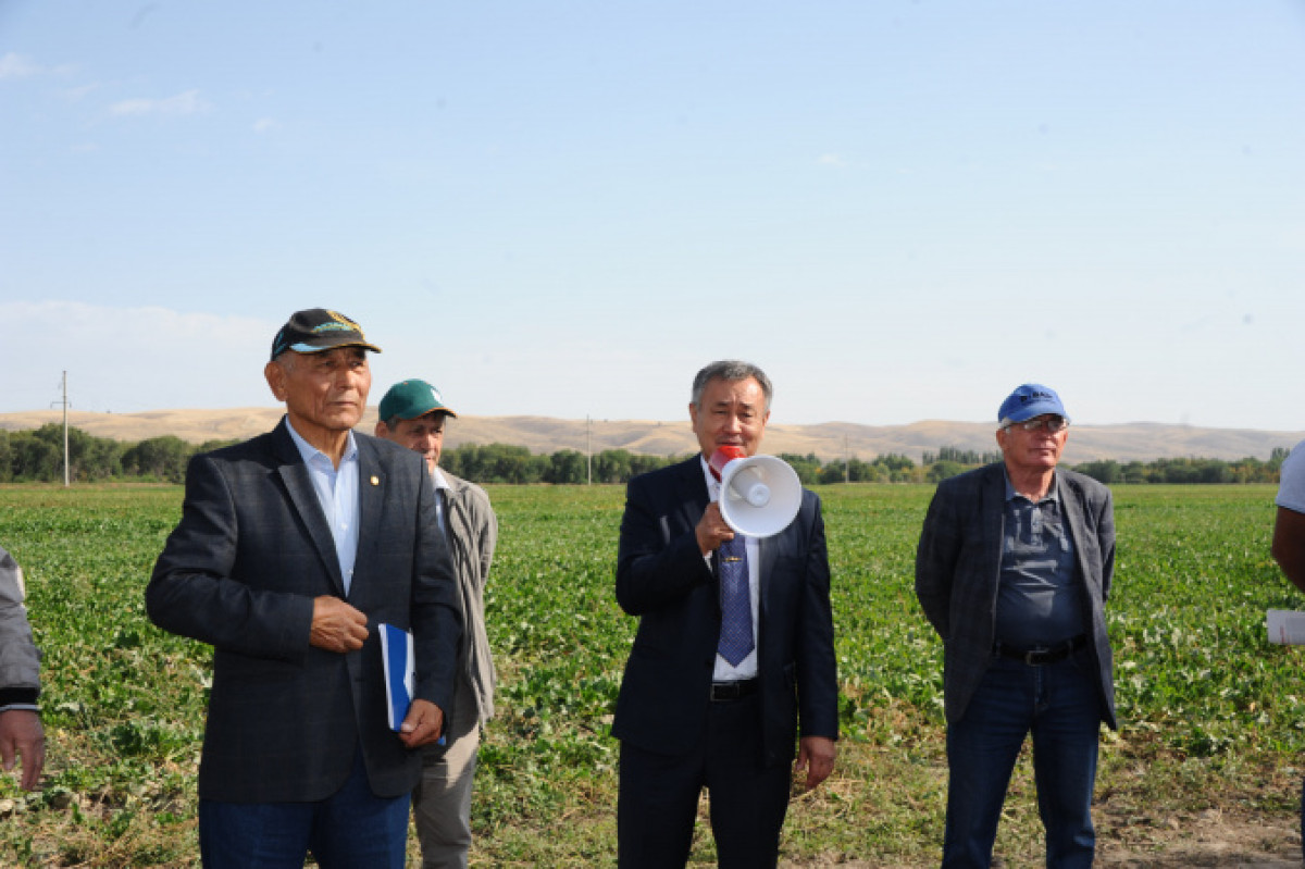  Руслана Кадырова